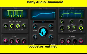 Humanoid vst by baby audio looptorrent