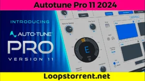 autotune 11 loopstorrent