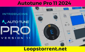 autotune 11 loopstorrent